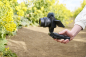 Preview: Sony ZV-E10 KIT 16-50mm II
