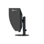 Preview: Eizo ColorEdge CG2400S