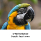 Preview: Sony FE 100-400mm F5.6-8 OSS