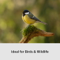 Preview: Sony Alpha 6700 KIT 16-50mm + 70-350mm Wildlife Kit