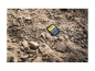 Preview: Sony SF-M Tough SDXC 256GB UHS-II 277MB/s
