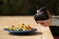Preview: Nikon Z 30 Kit mit 12-28 mm VR