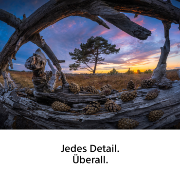 Sony FE 8-14mm F3.5 Fisheye G