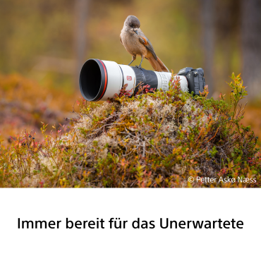 Sony FE 600mm F6.3 GM OSS