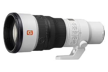 Sony FE 600mm F6.3 GM OSS