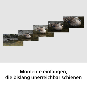 Preview: Sony FE 100-400mm F5.6-8 OSS