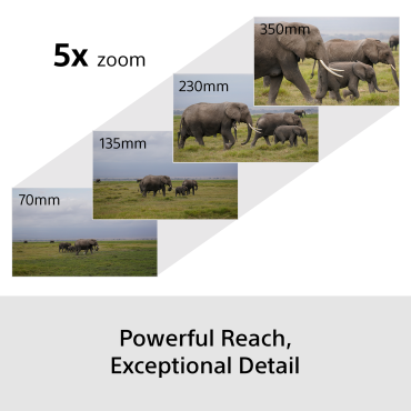 Preview: Sony Alpha 6700 KIT 16-50mm + 70-350mm Wildlife Kit