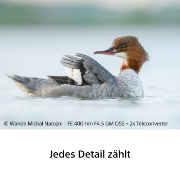 Sony FE 400mm F4.5 GM  OSS