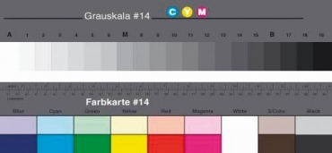 BST14 Large Grey Scale avec Colour chart 35.6 x 7.6 cm