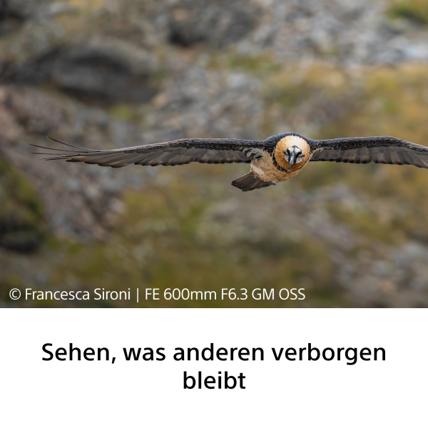 Sony FE 600mm F6.3 GM OSS