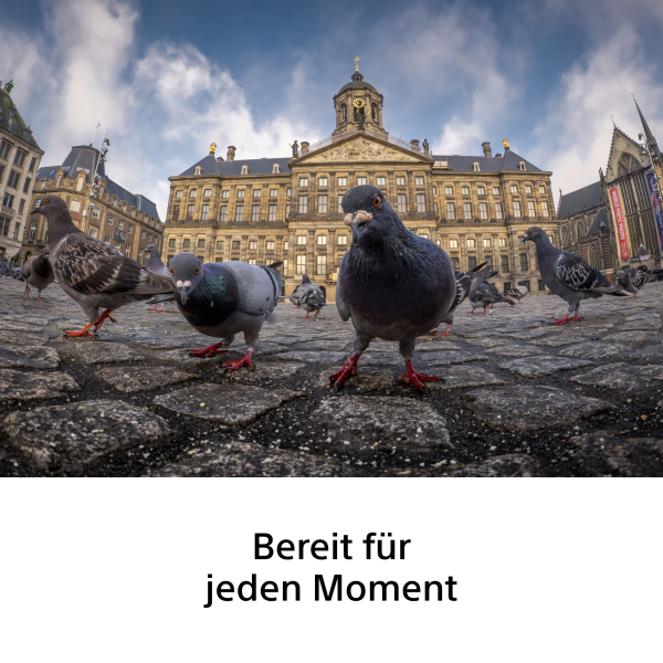 Sony FE 8-14mm F3.5 Fisheye G