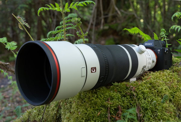 Sony FE 100-400mm F4.5 GM OSS