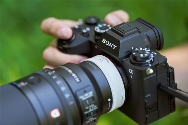 Sony FE 100mm F2.8 Makro GM OSS