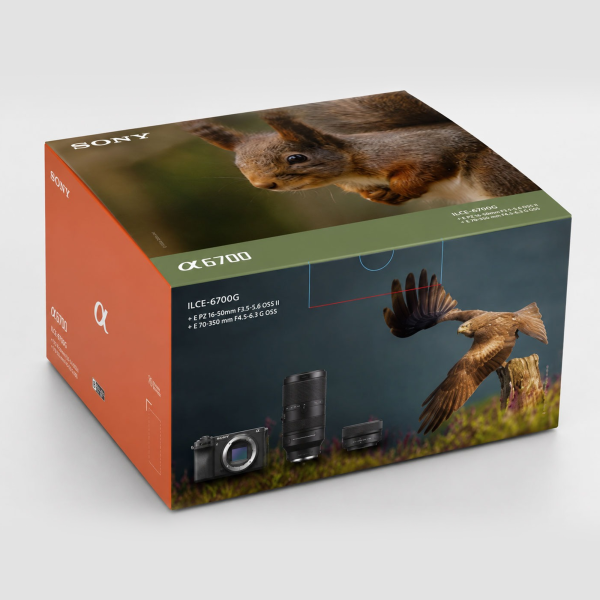 Sony Alpha 6700 KIT 16-50mm + 70-350mm Wildlife Kit