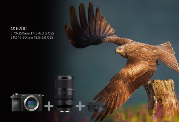 Sony Alpha 6700 KIT 16-50mm + 70-350mm Wildlife Kit