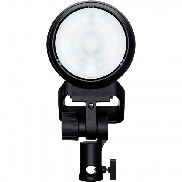 Profoto Pro-D3 1250 Duo Kit