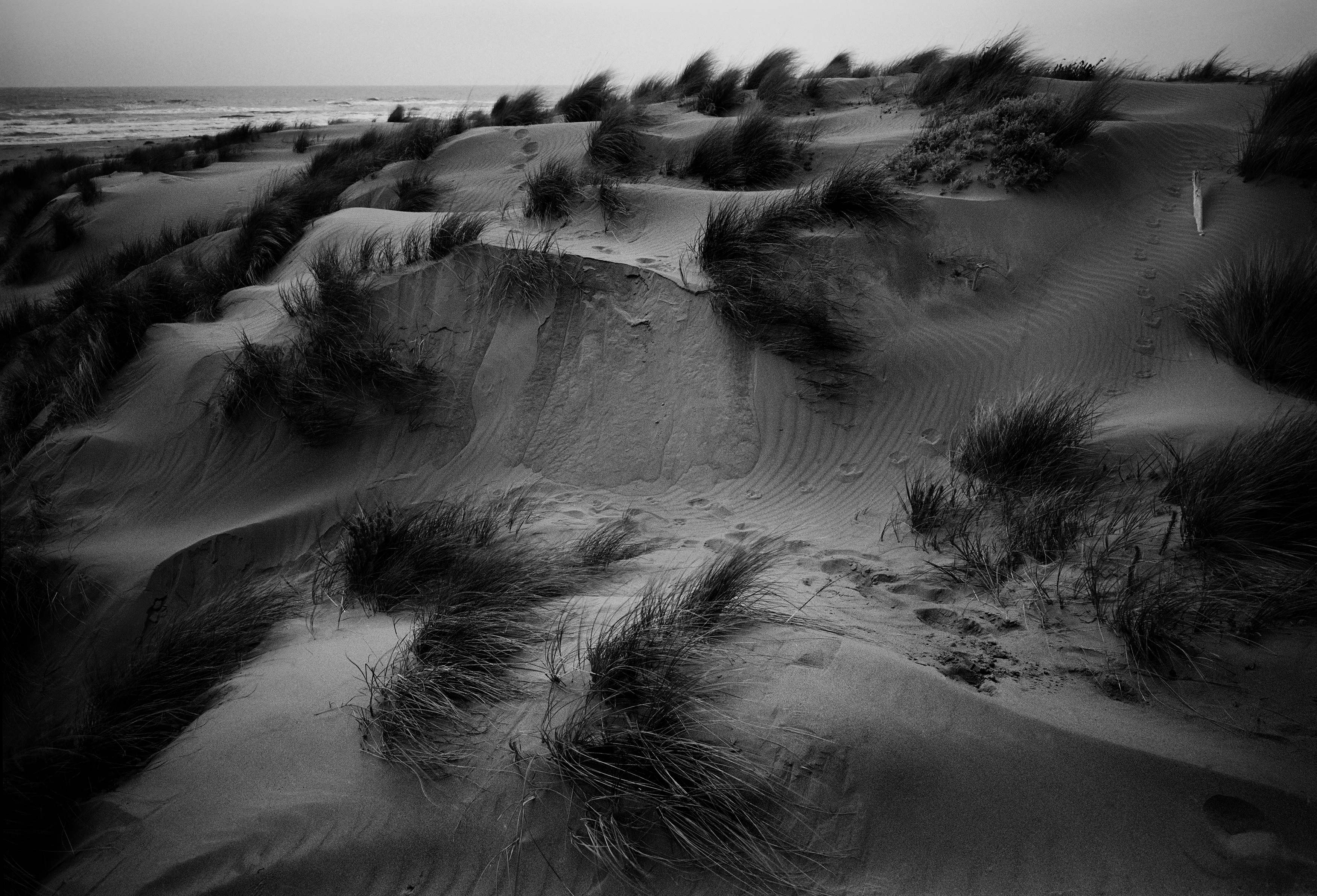 Leica Q3 Monochrom Bild 2