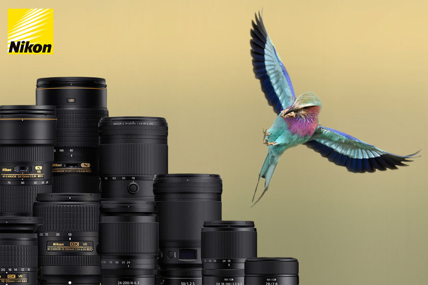 Nikon 10 Rabatt Newsletter V2